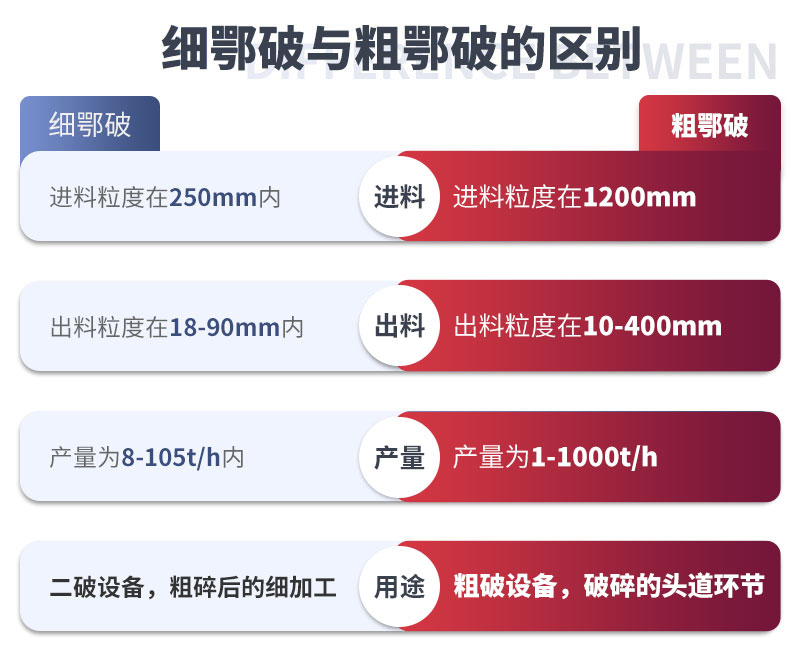 細(xì)顎和粗鄂的區(qū)別  細(xì)顎和粗鄂的區(qū)別